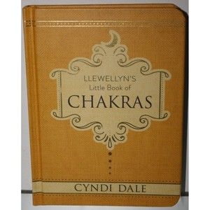 Llewellyn's Little Book of Chakras Hardcover Cyndi Dale Energy Healing VGUC